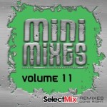 Select Mix Mini Mixes Vol 11 (February 2018)